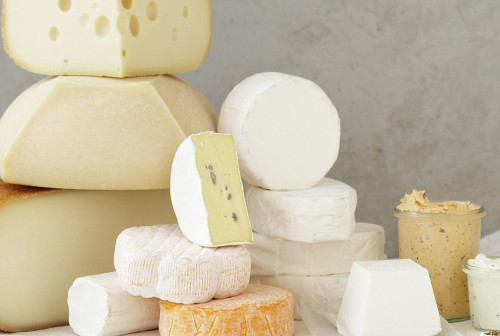 Company for the production of cheese and dairy products.